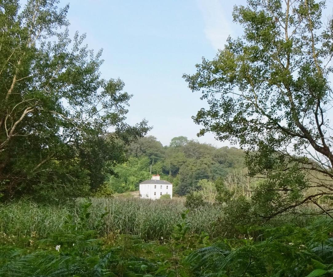 Riverbank House Bed And Breakfast Innishannon Buitenkant foto