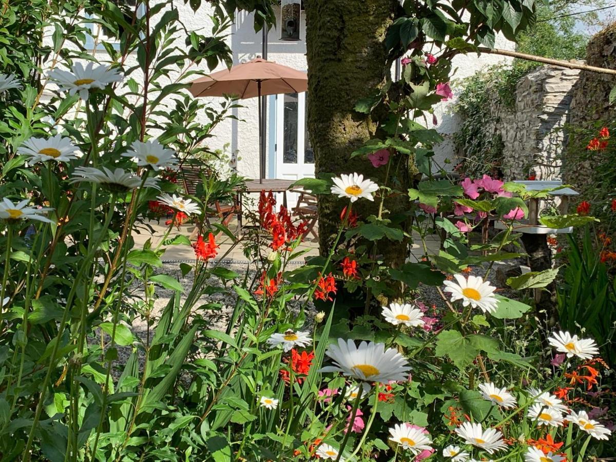 Riverbank House Bed And Breakfast Innishannon Buitenkant foto
